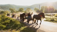 /album/emberek-vilaga/img-7663-masolas-jpg/